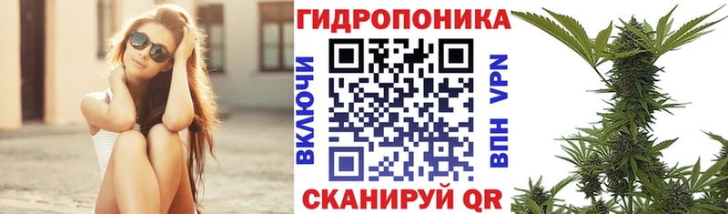 Канабис сатива  маркетплейс какой сайт  Фатеж 